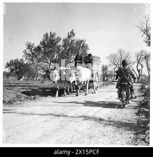 ITALIE : HUITIÈME MESSAGE DE l'ARMYA POUR LE GÉNÉRAL PAR D.R.L.S. - le message délivré, le D.R. quitte le QG de la division pour son retour au QG de la brigade de l'armée britannique Banque D'Images