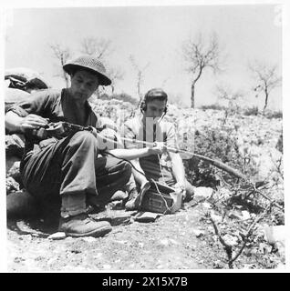 CINQUIÈME ZONE DE L'ARMÉE : DIVERS - pendant l'accalmie dans la bataille sur le front de Cassino, les hommes du peloton d'assaut, la compagnie 'S', profitent de la chance pour réviser leur équipement de détection de mines. Les hommes au travail sont Pte. J. Tillett des 15 bâtiments Adeys, Stroud Green, Newbury, Berks, à gauche, et l/CPL. R. Steer, 49 Emanuel Street, Mile End, Portsmouth, Hants, sur la droite British Army Banque D'Images