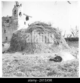 ITALIE : HUITIÈME ARMYDESOLATION À VILLA GRANDE - cela aurait pu arriver à toutes les villes d'Italie si elle n'avait pas capitulé. En entrant pour la première fois dans la ville de Villa Grande, il est impossible de trouver le nom de la ville, car tous les panneaux ont été détruits dans les combats. La ville n'a pas de population civile, et il n'y a pas une maison complète debout. Même les quelques soldats bloqués dans la ville ont trouvé extrêmement difficile de trouver une pièce qui n'a pas souffert de l'holocauste de la guerre qui a fait rage dans et autour de la ville. Il y a quelques animaux morts, qui augmentent l'air de la mort et de la désolation. T Banque D'Images