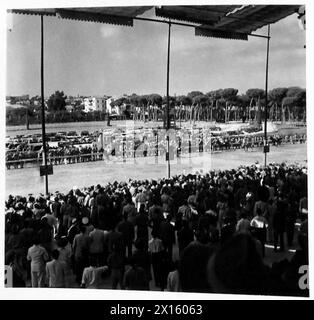 Le personnel de l'armée britannique assiste à une réunion en Afrique du Nord et au moyen-Orient entre 1940 et 1947, capturée dans des photographies en vue générale. Banque D'Images