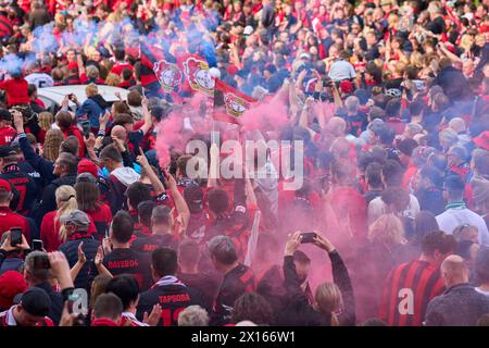 Les fans célèbrent l'arrivée de l'équipe avant le match BAYER 04 LEVERKUSEN - SV WERDER BRÊME 5-0 le 14 avril 2024 à Leverkusen, Allemagne. Saison 2023/2024, 1.Bundesliga,, Journée 29, 29.Spieltag photographe : ddp images / STAR-images - LA RÉGLEMENTATION DFL INTERDIT TOUTE UTILISATION DE PHOTOGRAPHIES comme SÉQUENCES D'IMAGES et/ou QUASI-VIDÉO - Banque D'Images