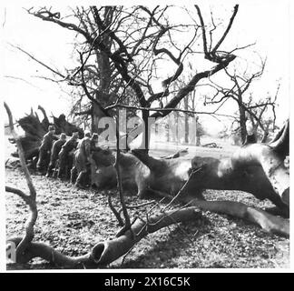 Une patrouille de reconnaissance se met à couvert, un soldat rampant derrière un arbre tombé lors de la visite des correspondants de guerre. Banque D'Images