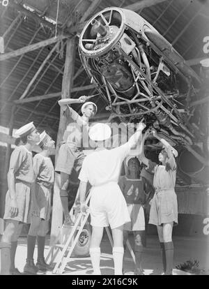 CEYLONESE RECRUTE UN TRAIN À L'ÉTABLISSEMENT ROYAL NAVAL AIRCRAFT. JANVIER 1944, MAHARAGMA, CEYLAN. - Air Artificer P Kane enseigne une classe au travail sur un Fairey Fulmar Banque D'Images