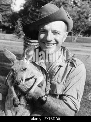 Un soldat australien de la Force impériale tient Joey, une jeune mascotte kangourou, pendant la campagne de Malaisie, vers 1942. L'image est un négatif noir et blanc. Banque D'Images