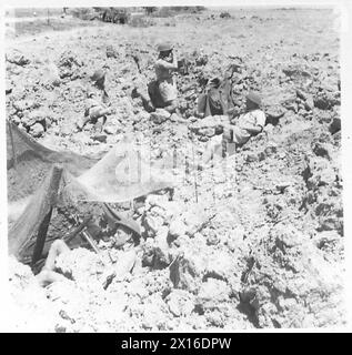 INVASION DE LA SICILE - Une équipe de mortier opérant à partir d'une position dans un fossé d'irrigation de l'armée britannique Banque D'Images