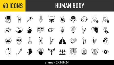 Ensemble d'icônes de parties du corps et d'organes. Illustration vectorielle du corps humain Illustration de Vecteur