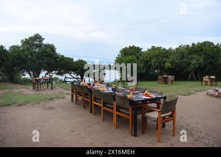 Sous la canopée de la végétation luxuriante du parc national de Kibale, des tables élégamment agencées attendent les convives, ornées de chandelles scintillantes et d'une ambiance vibrante Banque D'Images