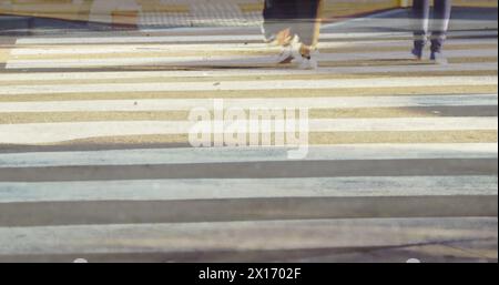 Image de navetteurs marchant sur le passage à zèbre sur la rue animée de la ville en mouvement rapide avec la circulation de la ville dans Banque D'Images