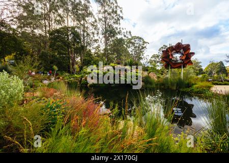 Fin d'après-midi d'automne au jardin botanique de Dandenong Ranges au jardin australien de Chelsea dans le cadre du projet Olinda à Olinda, Victoria, Australie Banque D'Images