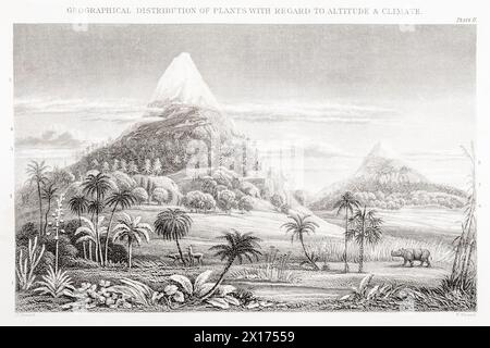 1872 photographie botanique victorienne à William Rhind : répartition géographique des plantes en fonction de l'altitude et du climat. Théorie du climat précoce. Banque D'Images