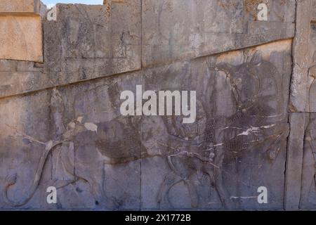 Gravures détaillées sur pierre représentant des guerriers au combat. Un témoignage de l'art ancien, habilement sculpté sur les murs d'un siège classé au patrimoine mondial de l'UNESCO Banque D'Images