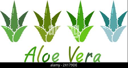 ensemble de vecteurs d'icônes de plantes d'aloe vera isolées sur fond blanc. symbole de soins de santé à base de plantes médicinales de la nature. texte à l'aloe vera Illustration de Vecteur