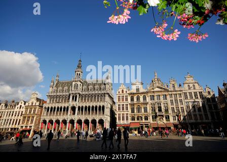 Grande place de Bruxelles, Belgique Banque D'Images