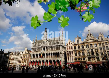 Grande place de Bruxelles, Belgique Banque D'Images