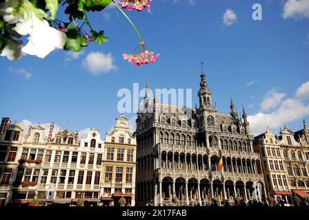 Grande place de Bruxelles, Belgique Banque D'Images