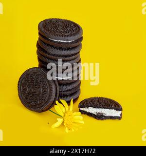 Biscuits Tour empilée remplie de crème de lait isolé sur fond jaune, une fleur jaune et un biscuit cassé. copier l'espace Banque D'Images
