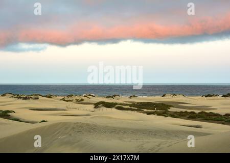 Dans les dunes de Maspalomas sur Gran Canaria en Espagne. Vue sur la mer dans la lumière du soir avec nuages et ciel bleu. Les immenses dunes de sable ressemblent à une sma Banque D'Images