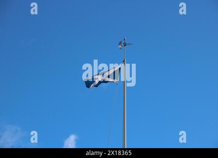 Drapeau national écossais de salage flottant sur un mât de drapeau de hache de bataille sur le site du champ de bataille de Bannockburn à Stirling en Écosse Banque D'Images