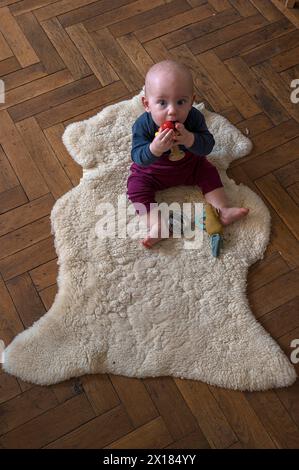 Enfant en bas âge, neuf mois, jouant sur une peau de mouton, Mecklenburg-Vorpommern, Allemagne Banque D'Images