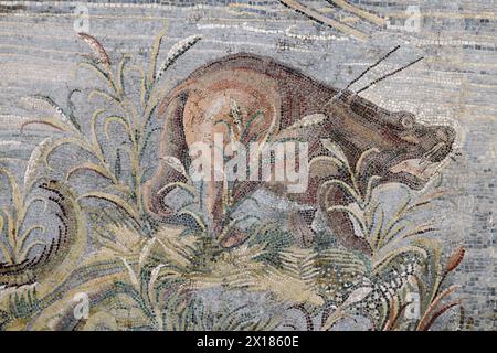 Fragment de mosaïque du Nil ou mosaïque de Palestrina. Paysage nilotique de Palestrina, Italie Banque D'Images