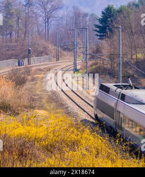 Dernière voiture d'un train capturée avec un léger flou de mouvement passant à travers une zone boisée en Corée du Sud par une journée ensoleillée brillante avec des fleurs jaune vif Banque D'Images