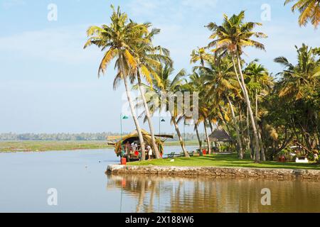 Palmiers et péniche traditionnelle sur les rives du lac Vembanad, système de canaux des backwaters, Kerala, Inde Banque D'Images