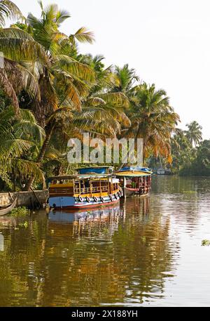 Bateaux traditionnels sur un canal dans le système de canaux des backwaters, Kerala, Inde Banque D'Images