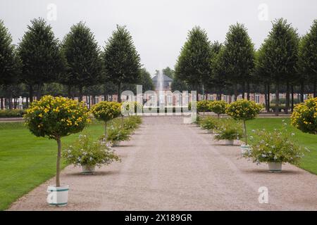 Ruelle bordée d'arbres à fleurs jaunes et de fleurs bleues dans des conteneurs dans le jardin du palais de Schwetzingen à la fin de l'été, Schwetzingen, Allemagne Banque D'Images