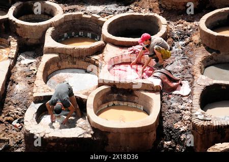 Ouvriers, quartier des tanneurs et teinturiers Chouwara à Fès El Bali, Médina, site du patrimoine mondial de l'UNESCO, Fès, ouvriers teignent le cuir en tannage traditionnel Banque D'Images