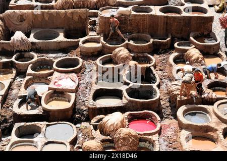 Ouvriers, tanneur Chouwara et quartier de teinturier à Fès El Bali, Médina, site du patrimoine mondial de l'UNESCO, Fès, plusieurs ouvriers dans une tannerie traditionnelle traitant Banque D'Images