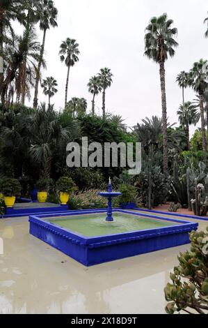 Jardin Majorelle, jardin botanique à Marrakech, Une fontaine carrée aux accents bleus dans un jardin luxuriant avec des palmiers, Marrakech, Maroc Banque D'Images