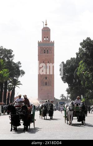 Marrakech, Un minaret historique surplombant une place avec des calèches et des palmiers, Marrakech, Maroc Banque D'Images