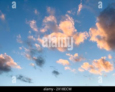 Nuages Altocumulus illuminés par le soleil du soir, grands nuages polaires devant un ciel bleu, international Banque D'Images