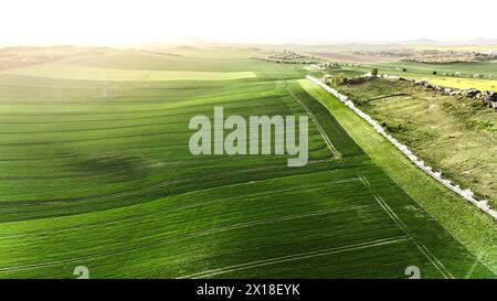 Champs dans la vallée de Bode avec contre-jour, Warnstedt, 08.04.2024., Warnstedt, Saxe-Anhalt, Allemagne Banque D'Images