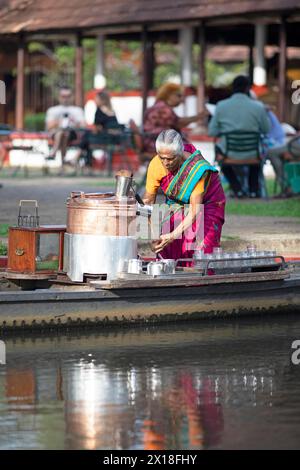 Tealady, 83 ans, fait du thé indien sur son bateau, Backwaters, Kumarakom, Kerala, Inde Banque D'Images