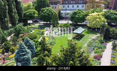 Incroyable point de vue de drone sur le jardin botanique de Wroclaw avec des parterres de fleurs et des chemins de jardin : parterres de fleurs Awe et sapins du Colorado (épinette blanche) et Banque D'Images