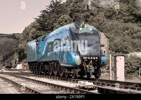 UK, Angleterre, Devon, LNER A4 Pacific locomotive 'Bittern' visitant Kingswear Station sur le Dartmouth Steam Railway Banque D'Images