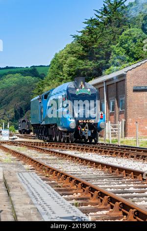 Royaume-Uni, Angleterre, Devon, LNER A4 Pacific 'Bittern' visite de Kingswear Station sur le chemin de fer à vapeur de Dartmouth Banque D'Images