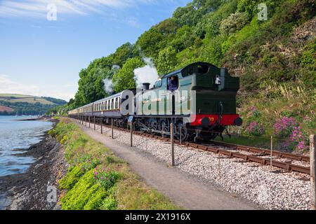 Angleterre, Devon, GWR locomotive à vapeur n° 5239 'Goliath' approchant Kingswear sur le chemin de fer à vapeur de Dartmouth Banque D'Images