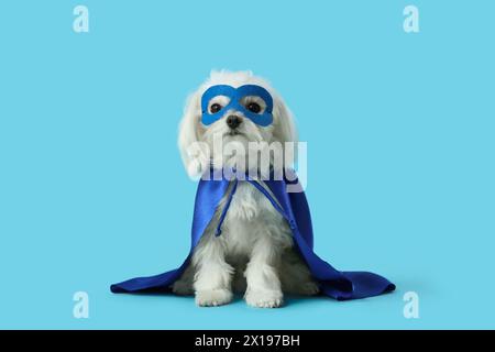 Petit chien mignon en costume de super-héros sur fond bleu Banque D'Images