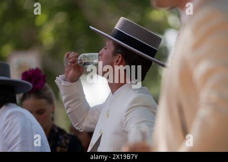 Un homme boit ®rebujito®, une boisson populaire typique de l'Andalousie qui est généralement préparée en mélangeant de la manzanilla ou du vin fin avec un soda aromatisé citron-lime. La Foire d'avril est l'un des festivals les plus internationaux et les plus populaires de Séville. Créé en 1847 comme une foire à l’élevage, au fil du temps l’aspect festif de l’événement a fini par reprendre la partie commerciale, jusqu’à ce qu’il devienne un événement incontournable pour les Sévilliens. Pendant une semaine, plus d’un millier de stands installés dans le parc des expositions sont devenus la deuxième maison des habitants de cette ville, un espace où ils peuvent partager et s’amuser en compagnie jusqu’au comte Banque D'Images