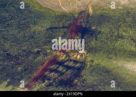 Impression aérienne d'une traversée d'éléphant dans le delta de l'Okavango, Botswana. Banque D'Images