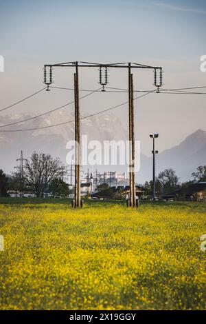 Fernblick über Blumenwiese zur Festung Hohensalzburg zwischen Salzburg Stadt und Lamprechtshausen im Frühling am 14.04.2024 // vue lointaine sur la prairie fleurie jusqu'à la forteresse de Hohensalzburg entre Salzbourg et Lamprechtshausen au printemps le 14 avril 2024 - 20240414 PD19267 crédit : APA-PictureDesk/Alamy Live News Banque D'Images