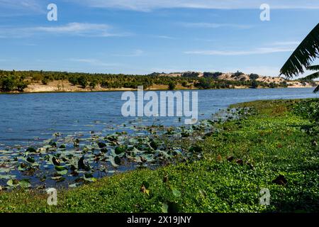 Les dunes de sable blanc avec le lac Lotus à Mui ne au Vietnam Banque D'Images