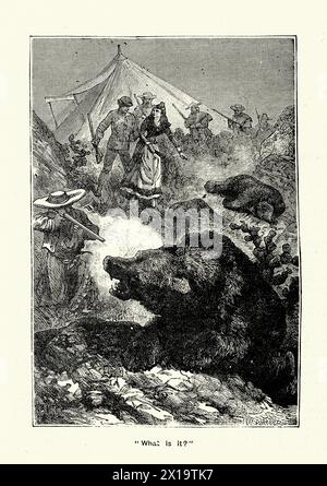 Hunter défendant camp d'une attaque d'ours, Wild West, années 1880, illustration vintage. Le Canon d'argent, Une histoire d'aventure dans le Wast lointain Banque D'Images