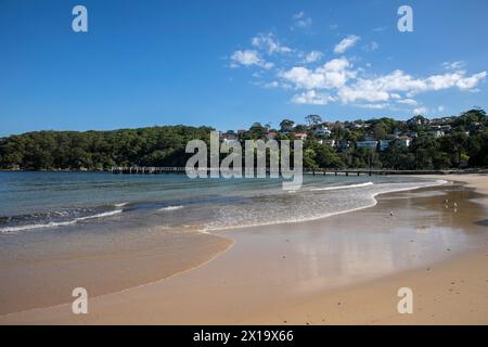 Sydney, Australie, réserve de Clifton Gardens et Chowder Bay dans le parc national du port de Sydney, Nouvelle-Galles du Sud, Australie Banque D'Images