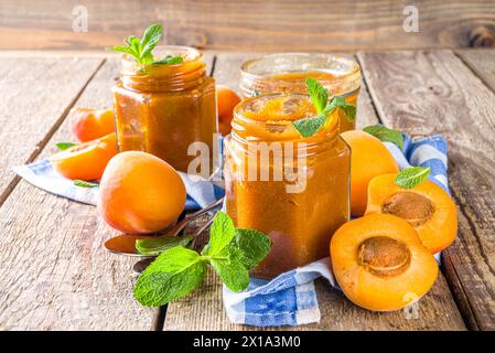 Confiture d'abricots maison dans différents pots, avec des abricots frais biologiques sur fond de bois rustique copie espace Banque D'Images