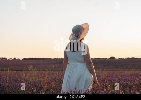 femme en chapeau de paille et robe légère dans le champ de lavande au coucher du soleil un jour d'été Banque D'Images