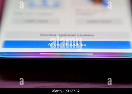 Bouton autoriser les cookies sur la page Web Internet. Concept de SECURITE de technologie de DONNEES D'historique de navigation sur Internet Banque D'Images