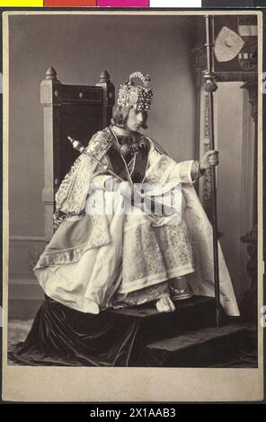 Rudolf, prince héritier d'Autriche, image de stéréotype. Rodolphe dans le Rodolphe de Habsbourg dans le costume historique, sceptre et standard, dans l'ocpassion du mariage d'argent de ses parents. prise de vue en studio. Carte de cabinett size., 22.04.1879 - 18790422 PD0005 - Rechteinfo : droits gérés (RM) Banque D'Images